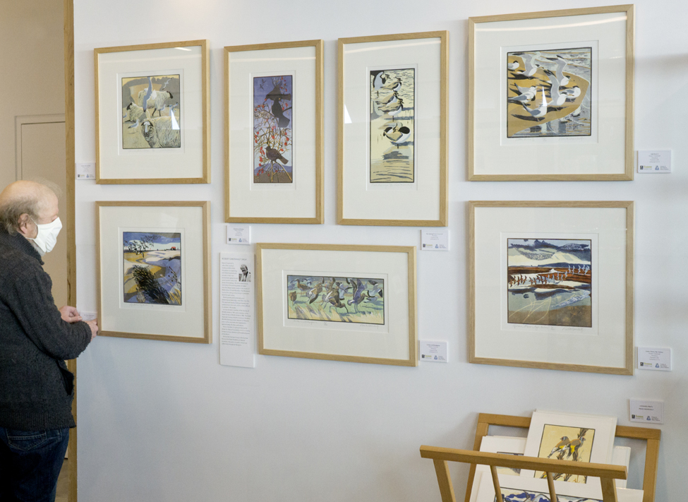 Art Wall goes up in the Discovery Centre