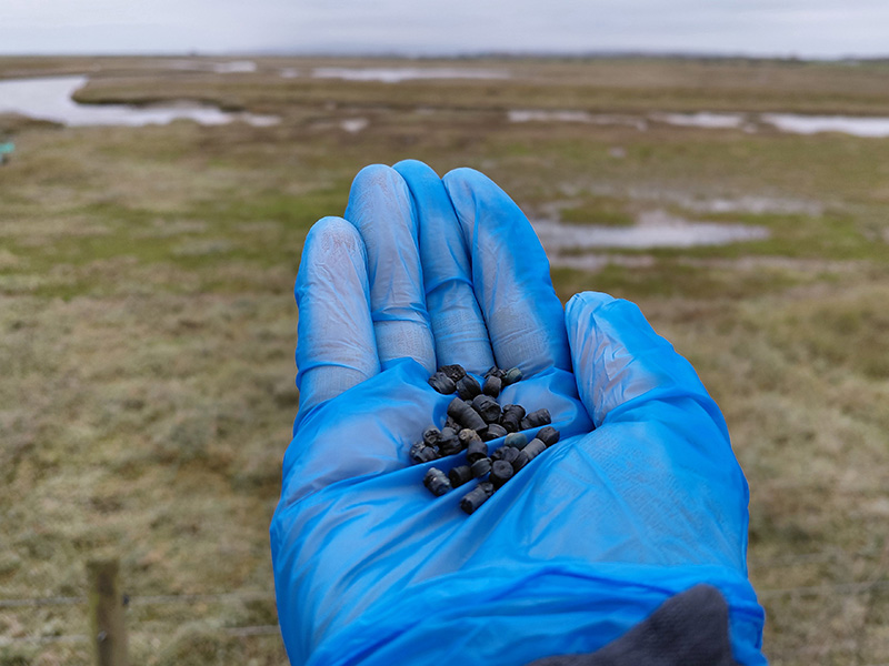Bio-beads collected on saltmarsh © Sarah Watson