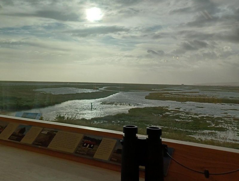 Spot the Difference in the Discovery Centre
