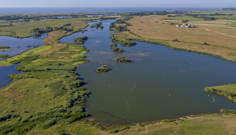 Celebrate World Wetlands Day 2020 at Rye Harbour Nature Reserve