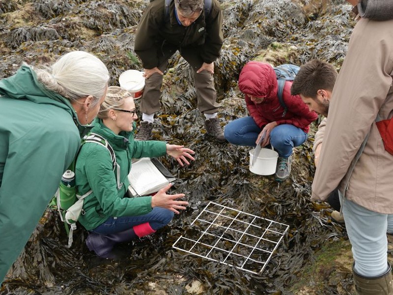 Citizen Science: The importance of marine data