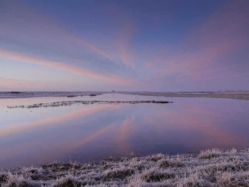 Review of 2019 at Rye Harbour Nature Reserve