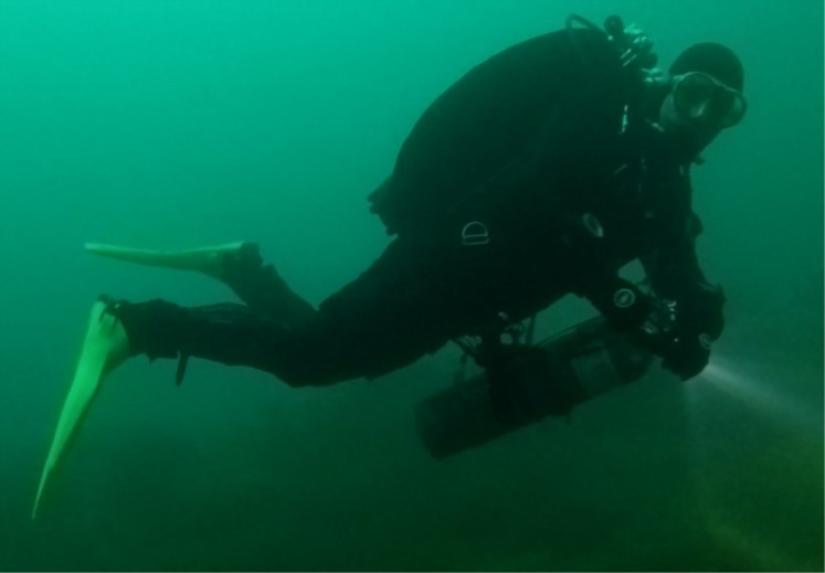 Encouraging signs for Sussex Kelp