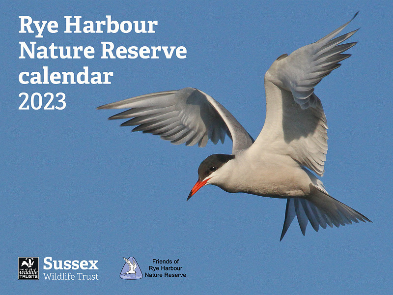 Rye Harbour Nature Reserve Calendar