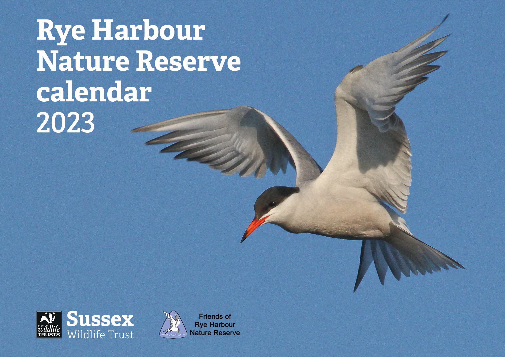 Rye Harbour Nature Reserve 2023 Calendar