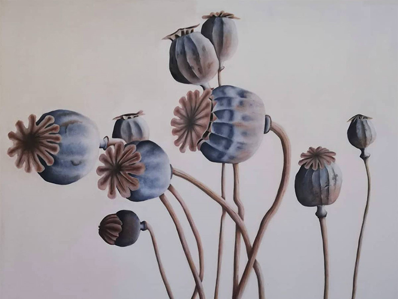Support Sussex Wildlife Trust at the Sussex Art Fair