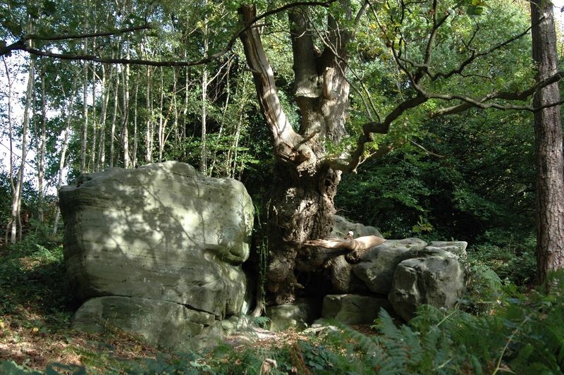 Why geodiversity in Sussex is so important