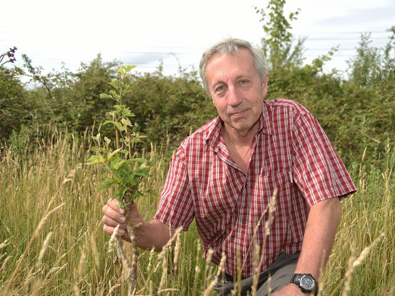 The Economics of Biodiversity