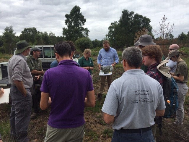 Fire management for heathland professionals