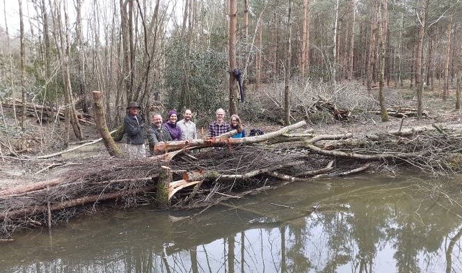 Our community projects - their value to wider society and the planet