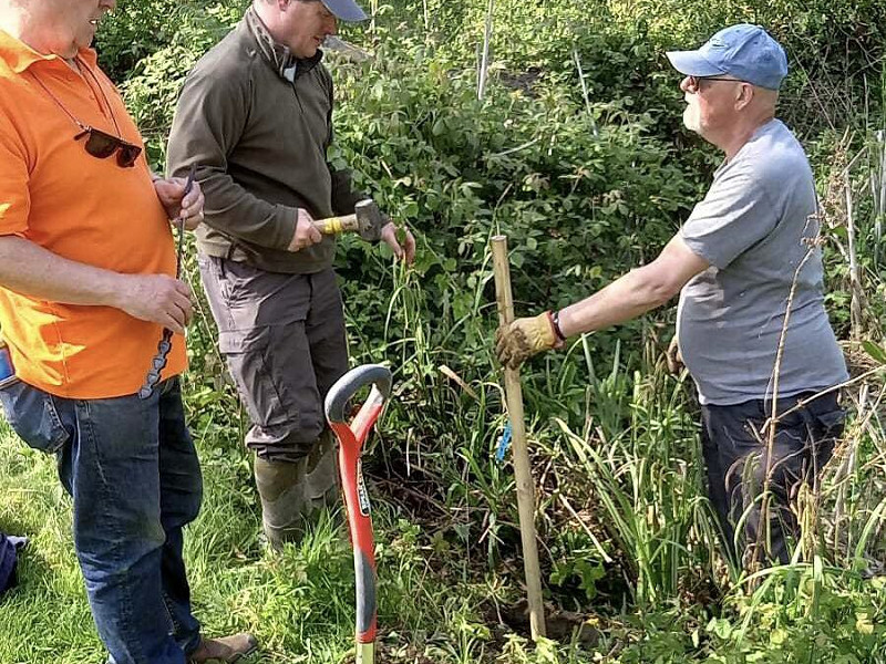 Rare Trees Find a Home at Hop Oast