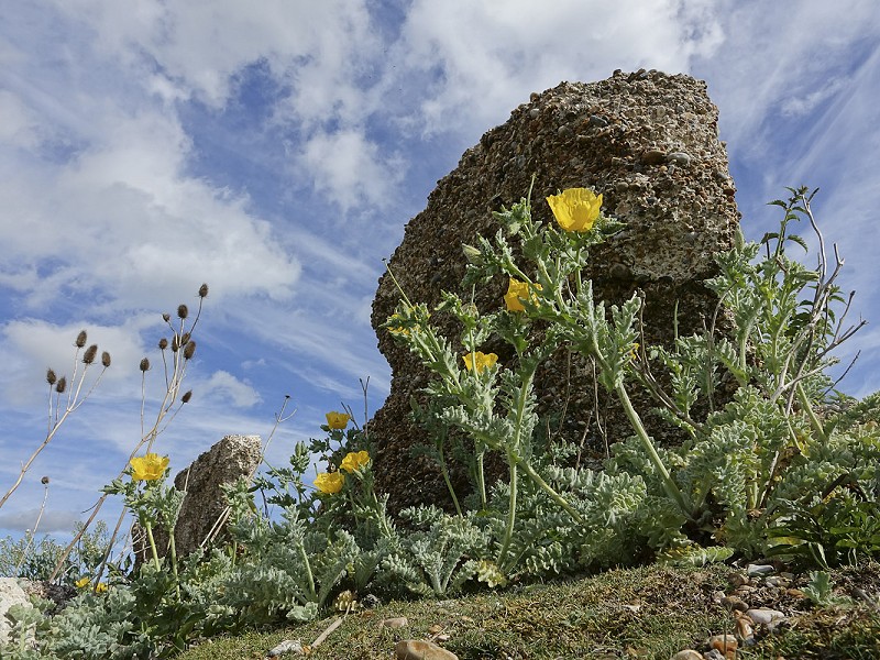 Another Ruin