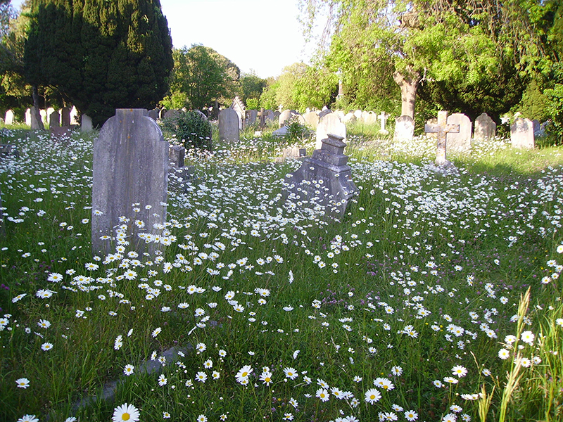 Broadwater and Worthing Cemetery