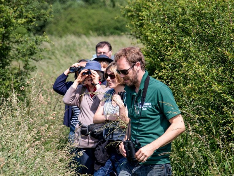 Highlights of the What's On in 2019 brochure