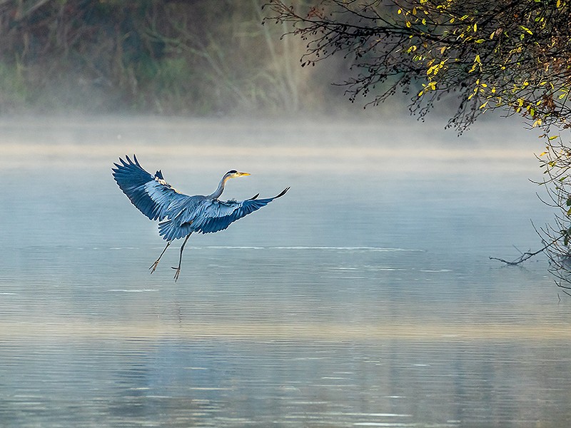 Have your say about the Natural Environment in Horsham District