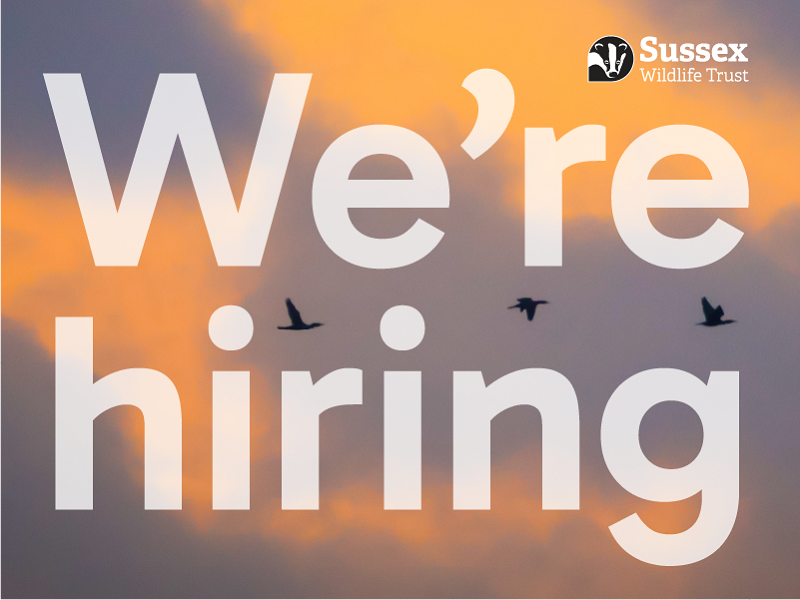 New roles at Sussex Wildlife Trust
