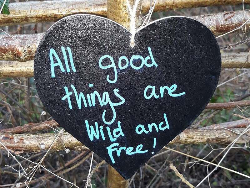 What are the chalkboards at Woods Mill?
