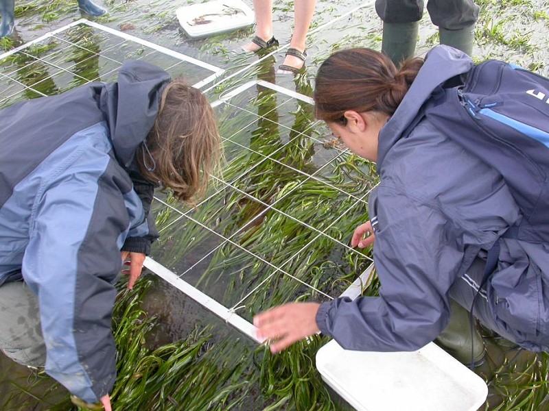 Restore the natural world and help save us from climate disaster
