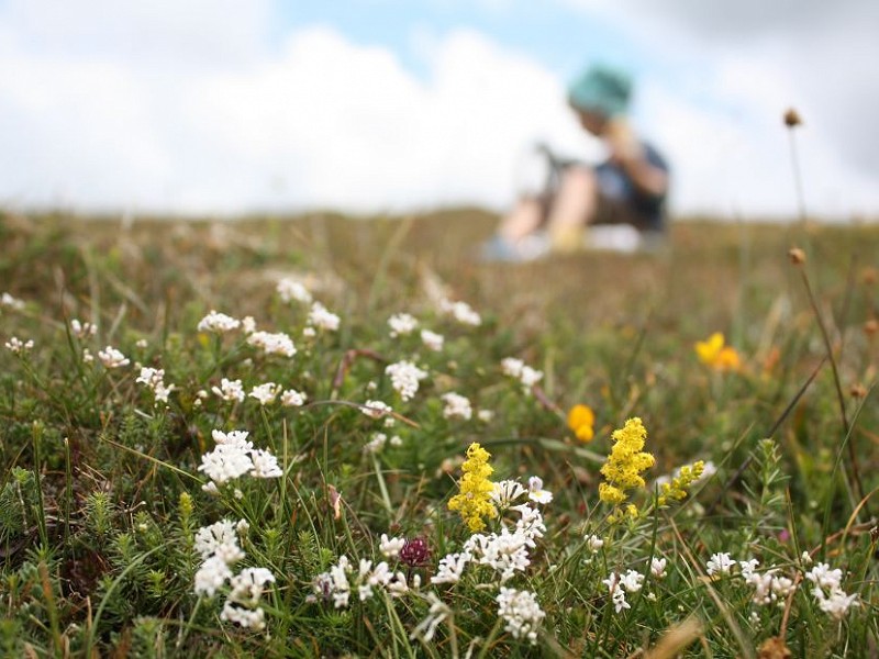 Have your say on the future of the Brighton & Hove Downland Estate