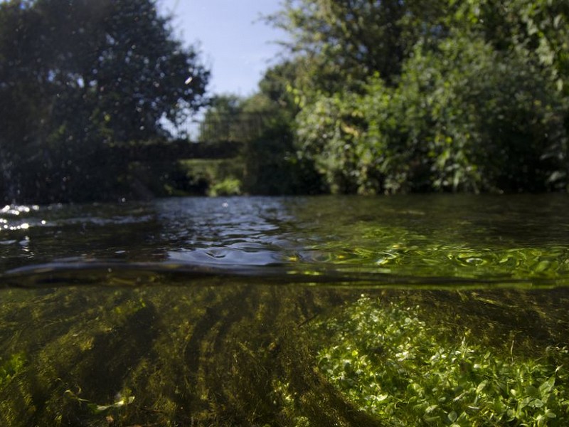 Sussex Wildlife Trust responds to news of Ofwat penalties for Southern Water