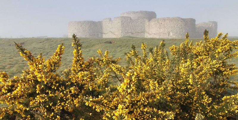 Wildlife Walks, Talks and Courses in March 2020