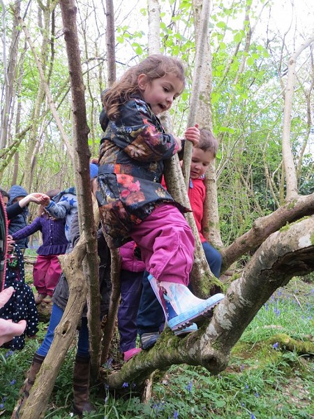 Woodland Adventures for under fives in Mid Sussex