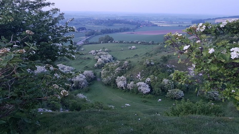 Creating landscapes that provide the riches in variety that people and nature need
