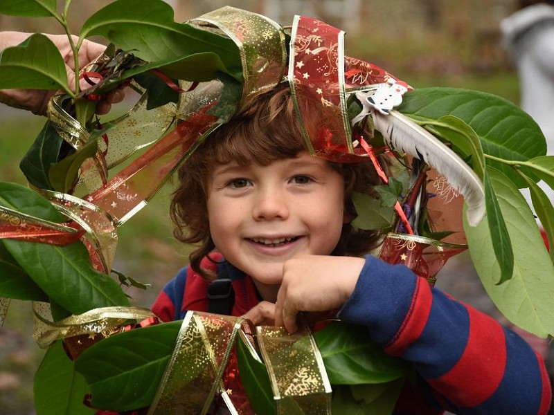 Tree Dressing Delight