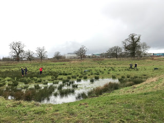 Breathing new life into a neglected farm pond