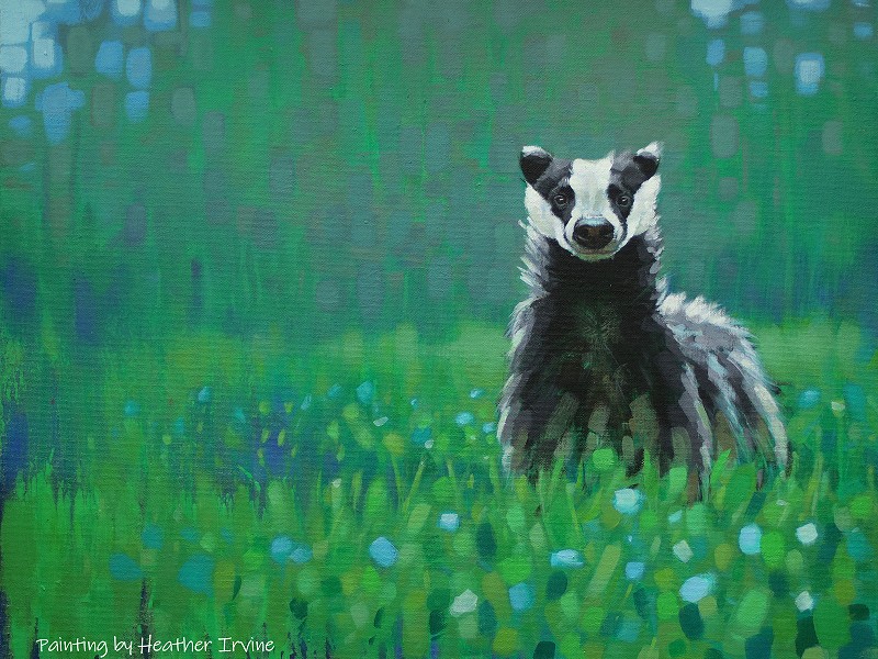 Leading artists come together to raise funds for Sussex Wildlife