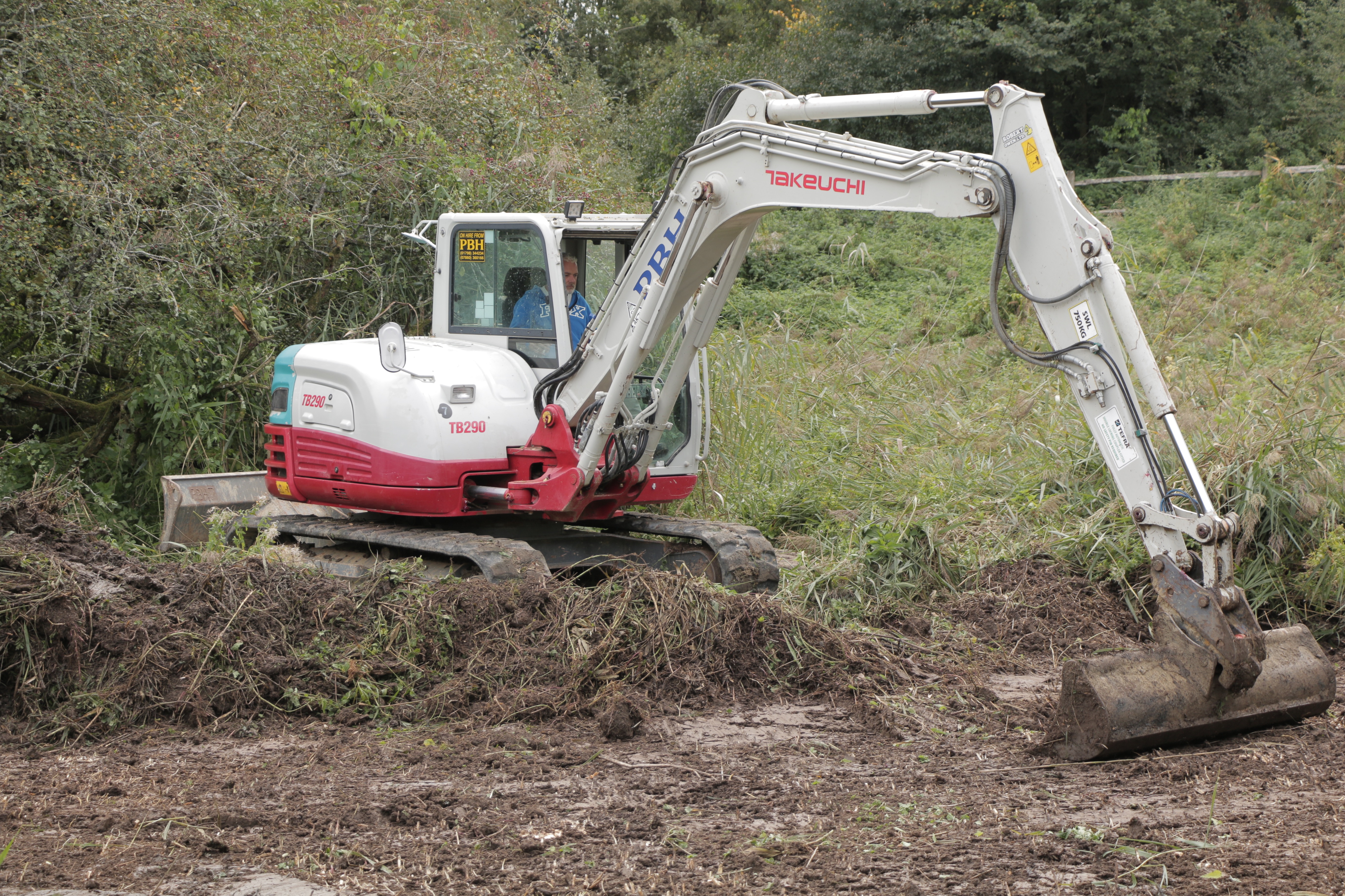 Habitat Restoration Project at Woods Mill