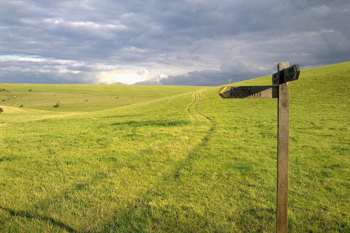 Public consultation on the future of the Eastbourne Downs