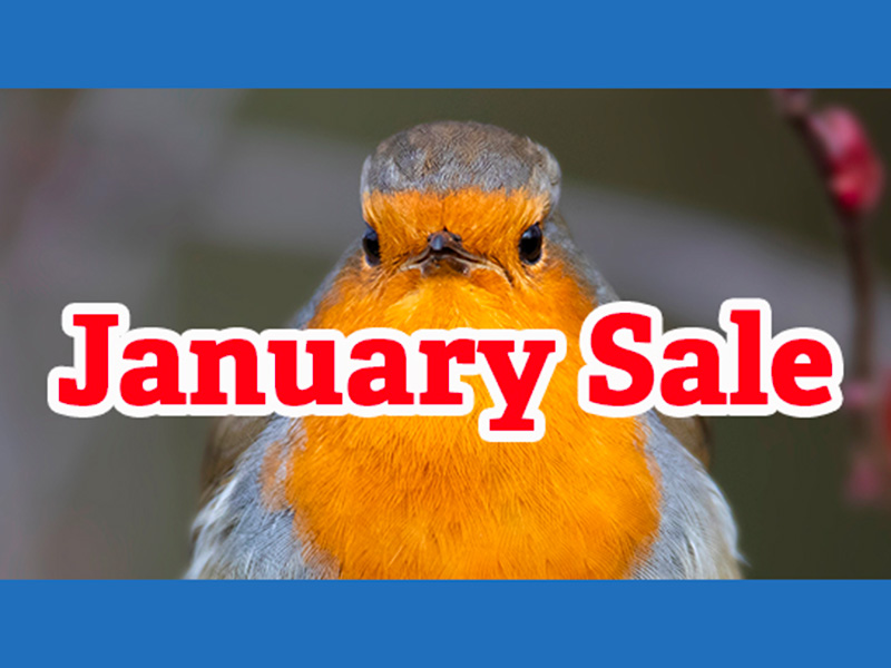 January Shop Sale