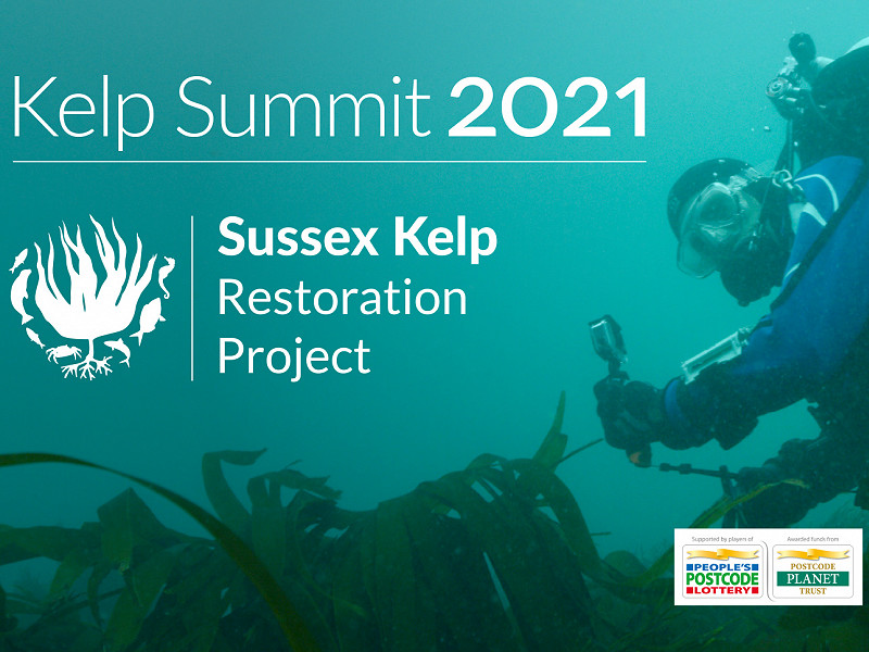 Kelp Summit 2021