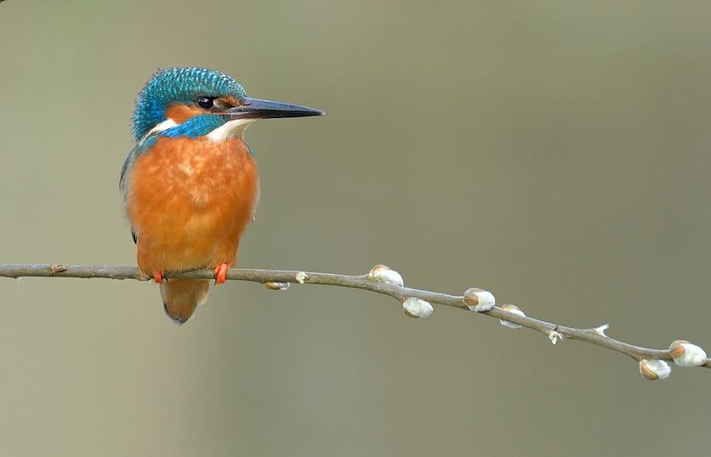 Government’s latest attack on nature targets water pollution rules