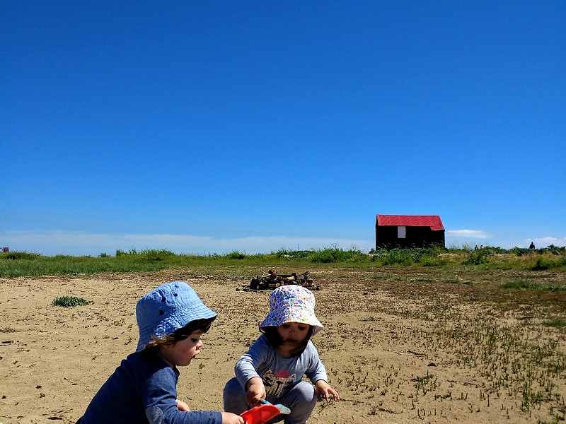 How to make the best of family trips to Rye Harbour Nature Reserve