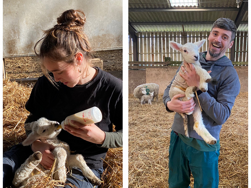 February update from the Lederman Trainees