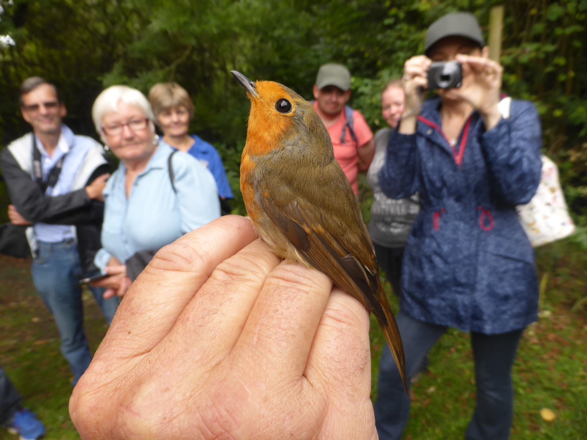 Woods Mill 50 Migration Event: Just passin' through