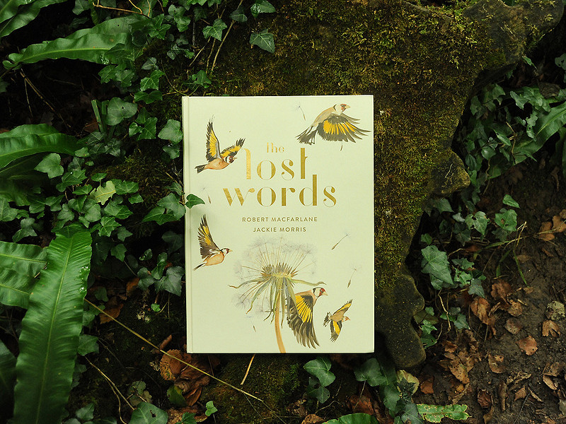 A treasure hunt for lost words