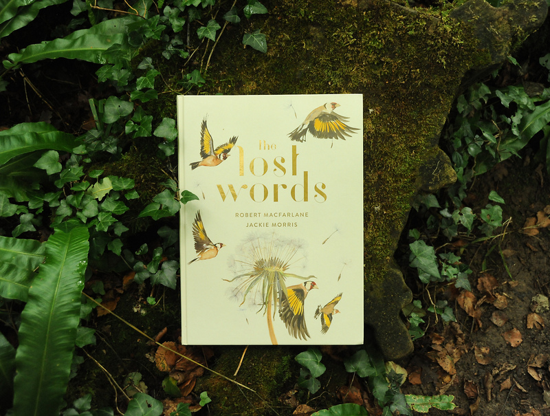 A treasure hunt for lost words