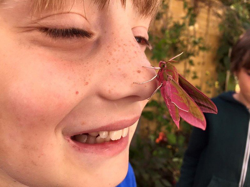 How can we grow a love for wildlife?