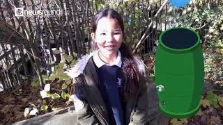 School grounds in a changing climate