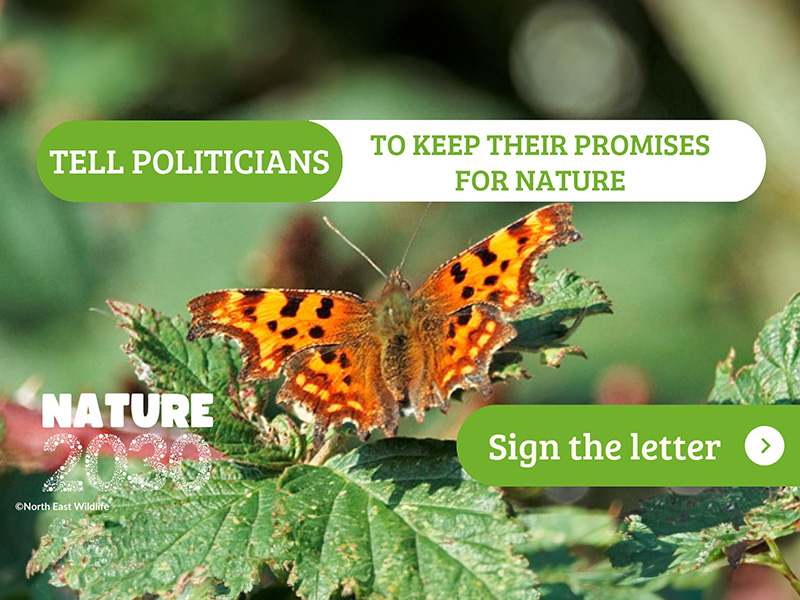 Nature Needs Action