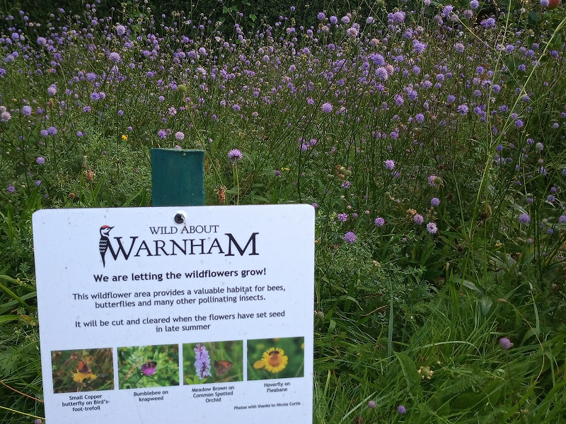 Wild About Warnham - a great example of a community taking action for wildlife.