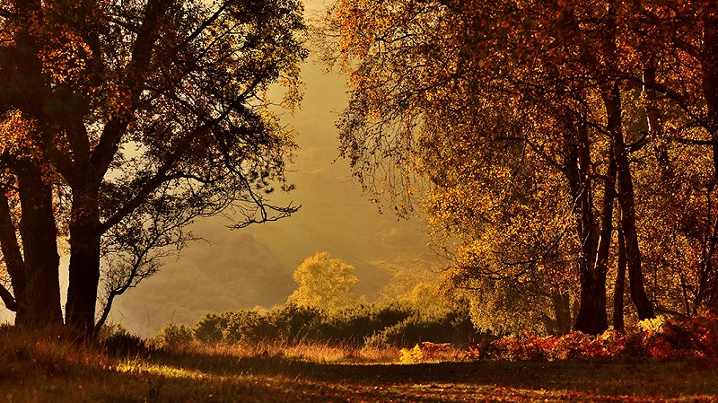 Standing up for nature in November