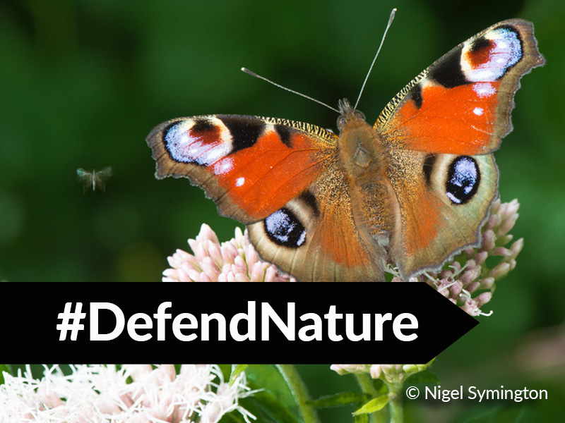Government Attacks Nature