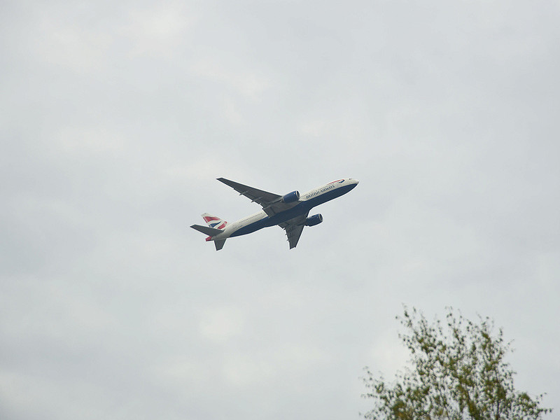 Sussex Wildlife Trust objects to Gatwick Airport expansion