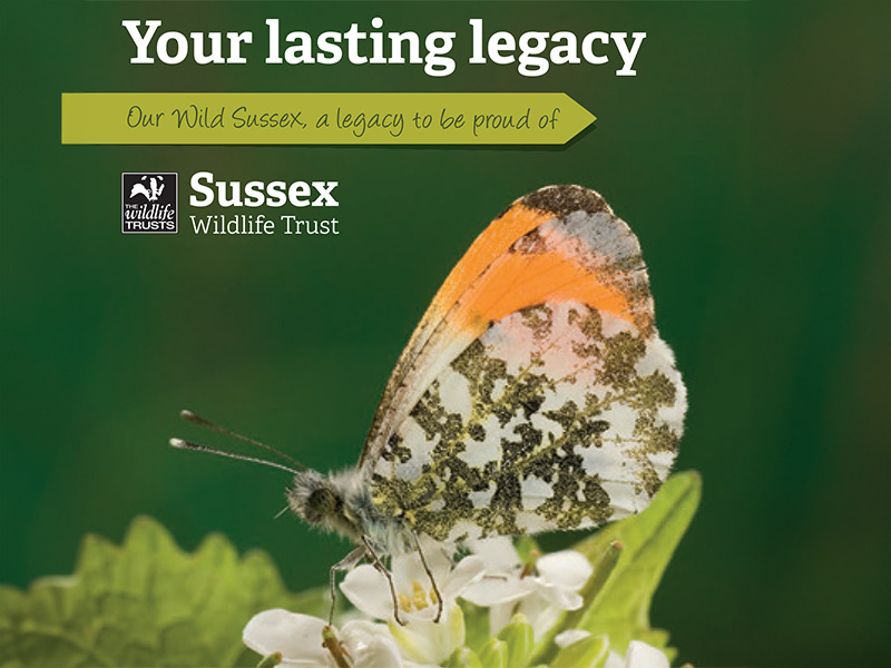 Your lasting legacy