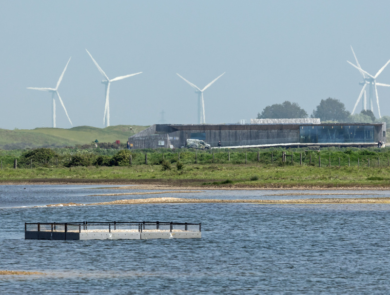 Rafts for nesting Common Terns