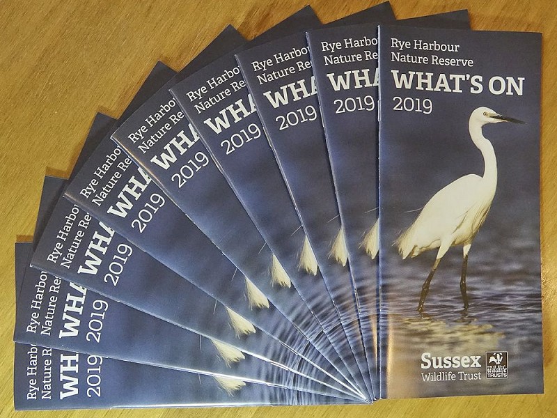 Events and courses at Rye Harbour Nature Reserve in 2019
